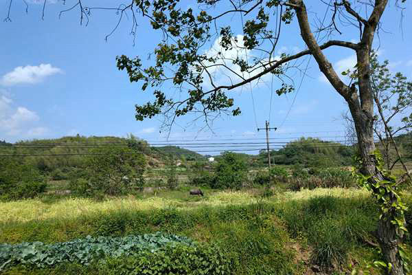 京津冀及周邊地區(qū)出現(xiàn)中至重度污染，多地啟動預警積極應對