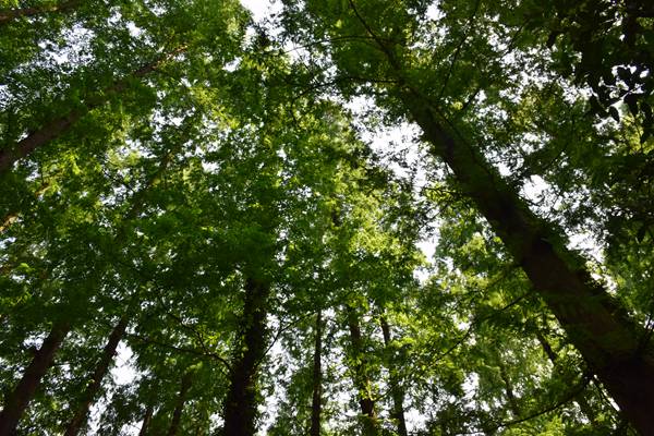 《河北省噪聲污染防治報(bào)告（2025年）》發(fā)布