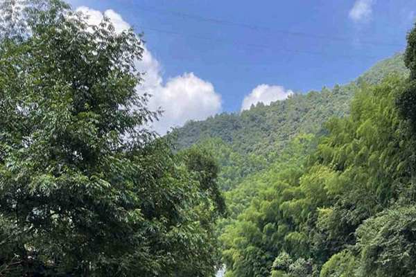 寧夏“十五五”規(guī)劃建議出爐 加快經(jīng)濟(jì)社會(huì)發(fā)展全面綠色轉(zhuǎn)型